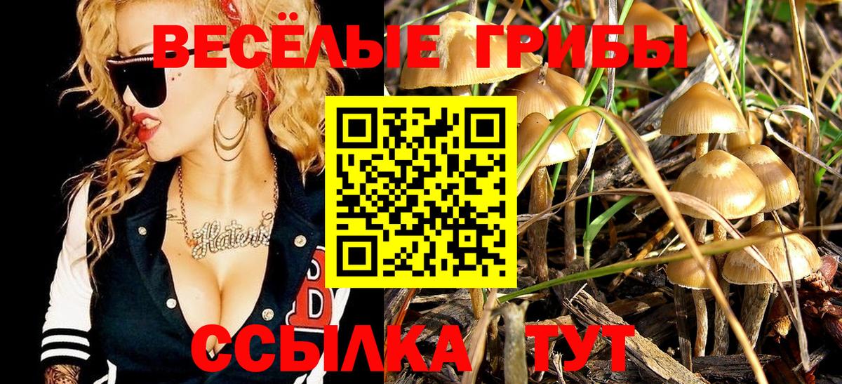 Ярцево  Галлюциногенные грибы мухоморы  Вход с VPN 